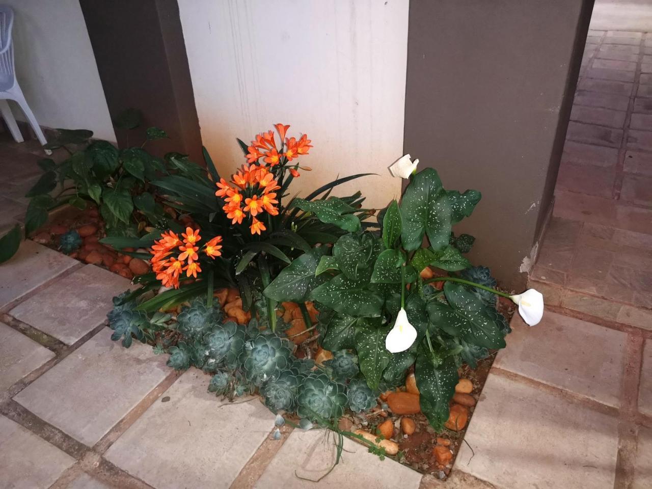 Aaa Rose Garden Guesthouse Mookgophong Exterior foto